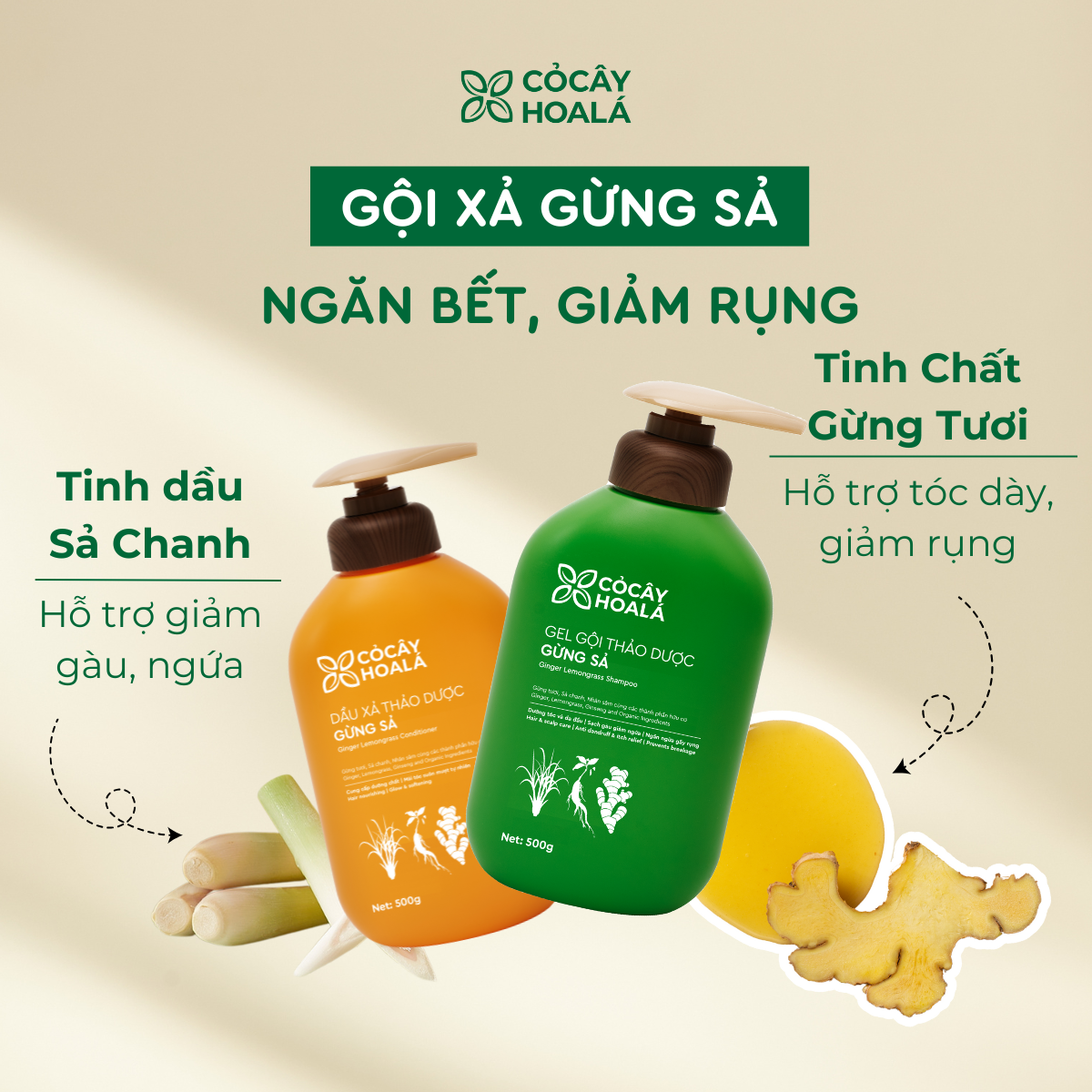 Combo Dầu Gội Và Dầu Xả Thảo Dược Gừng Sả Cỏ Cây Hoa Lá 500g