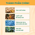 Sữa Tắm Gừng Nghệ Thảo Dược 500g Cỏ Cây Hoa Lá